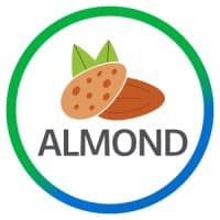 Almond FinTech