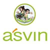asvin GmbH