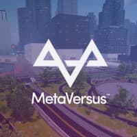 MetaVersusWorld