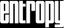 Entropy
