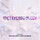 Metaverse-ology