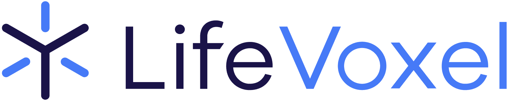 LifeVoxel.AI