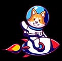 Galaxy Doge