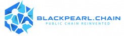 BlackPearlChain Inc