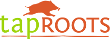 TapRoots Wisdom Games