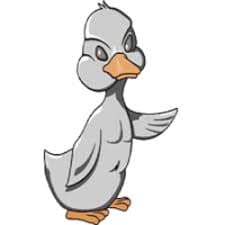 Little Ugly Duck