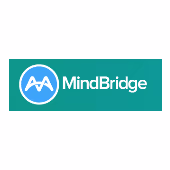 Mindbridge AI