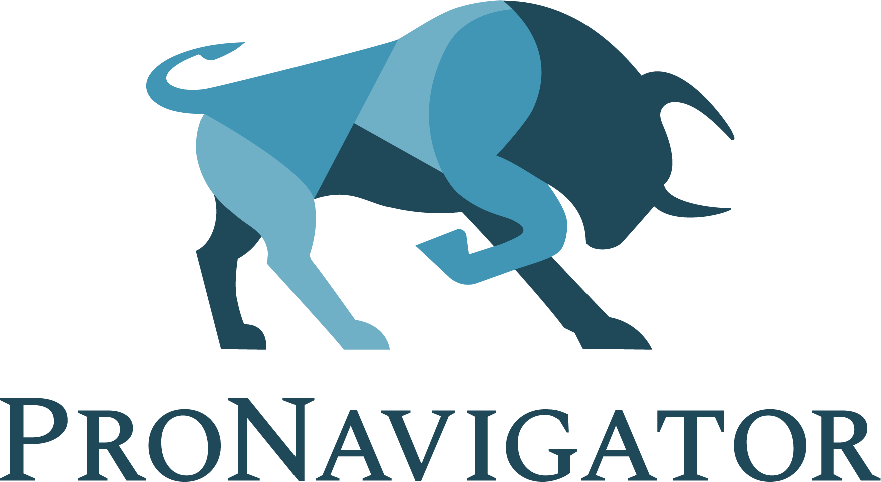 ProNavigator