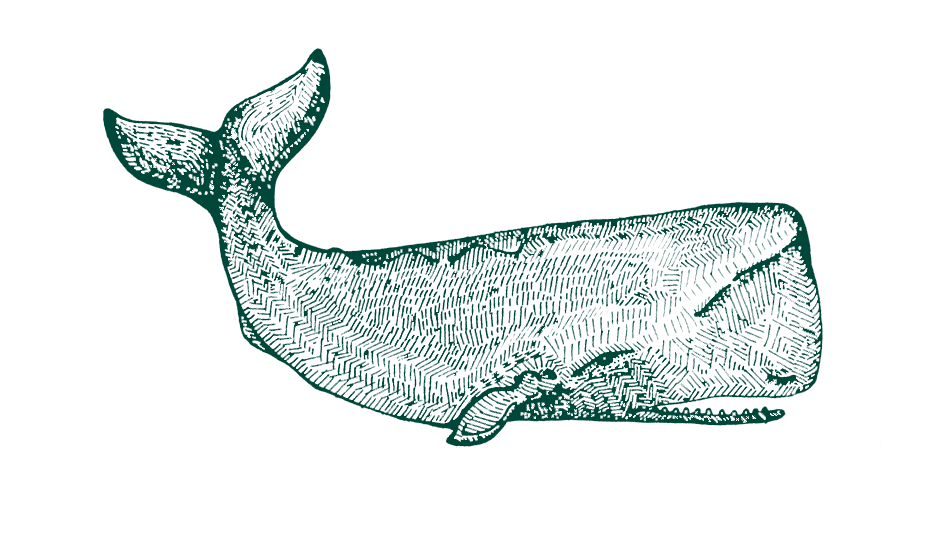 Whalebone Ventures logo