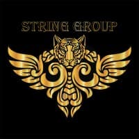 String Group