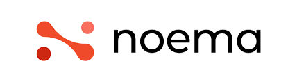 Noema Consulting