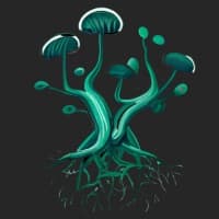Mushroom Protocol