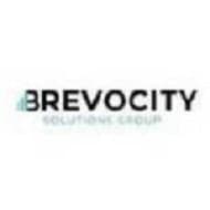 Brevocity Solutions Group logo